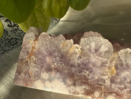 Amethyst Flower Agate Geode